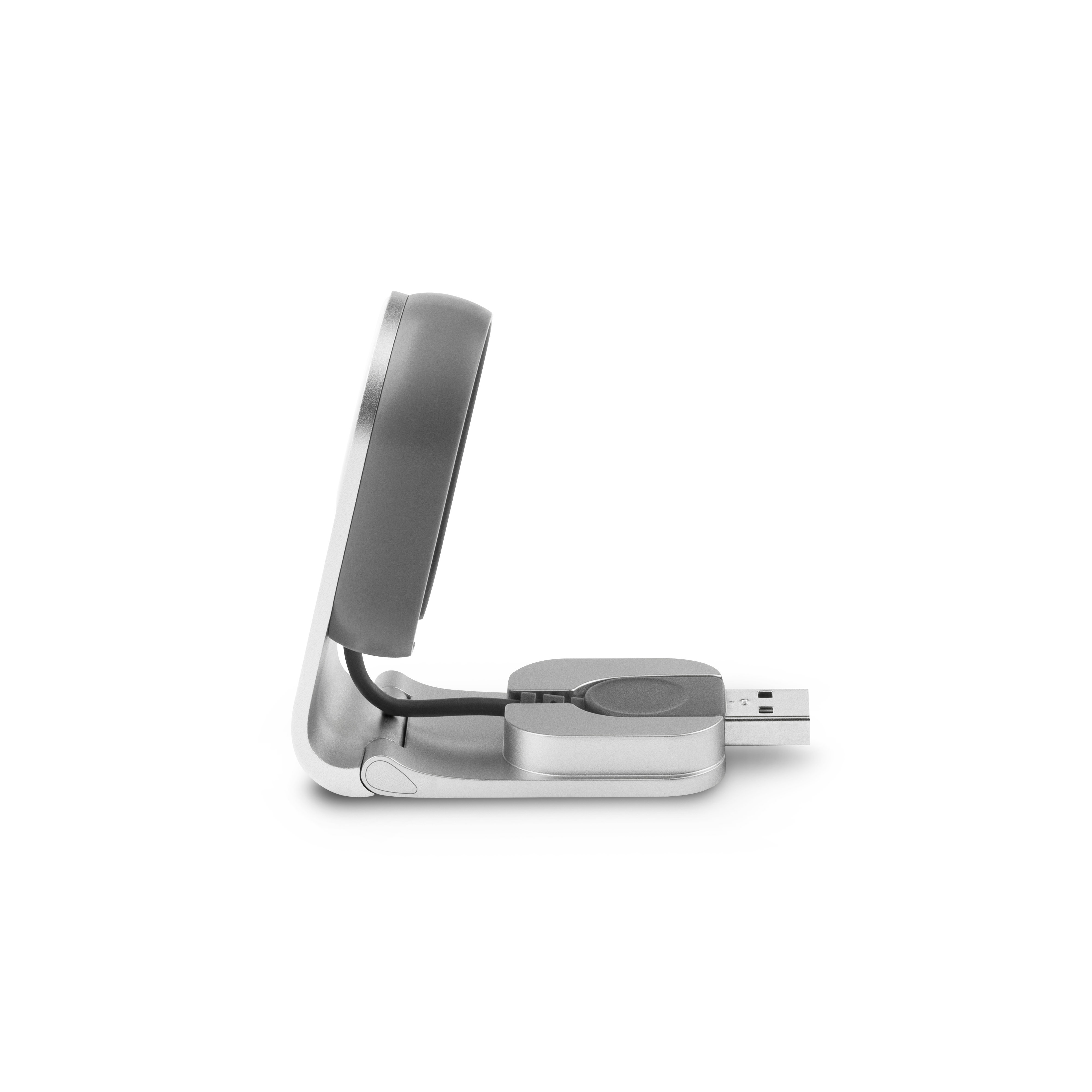 Flekto Apple Watch