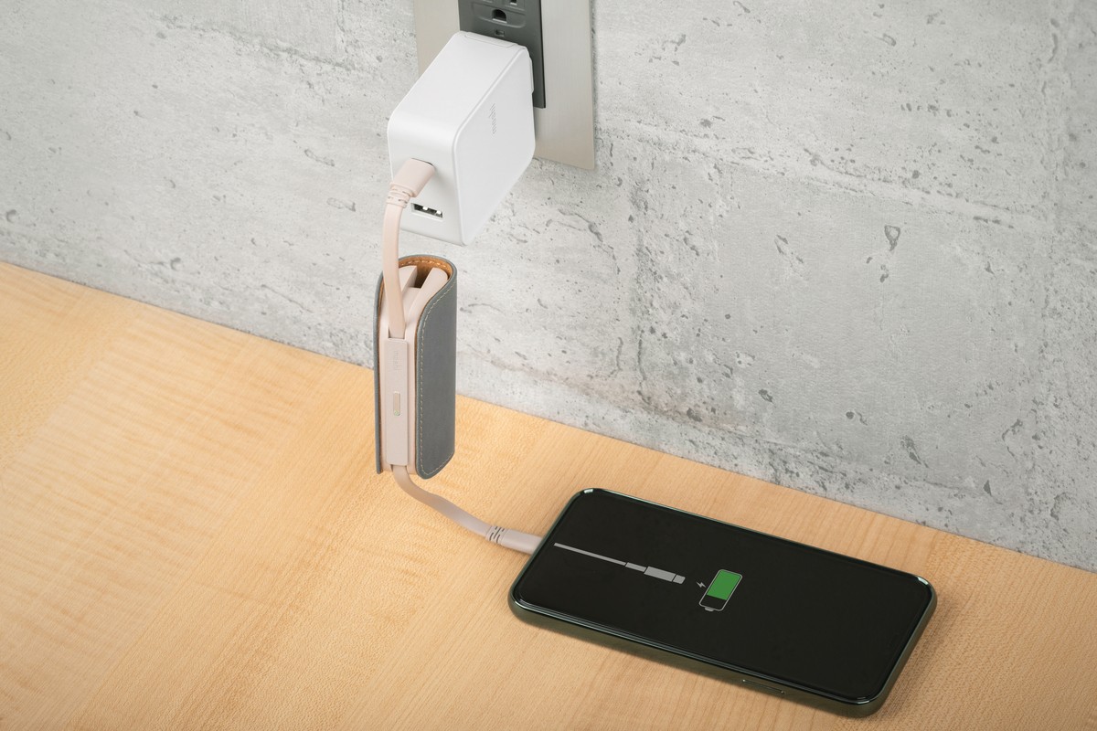 IonGo 5K Duo with USB-C to Lightning Cable-Pink
