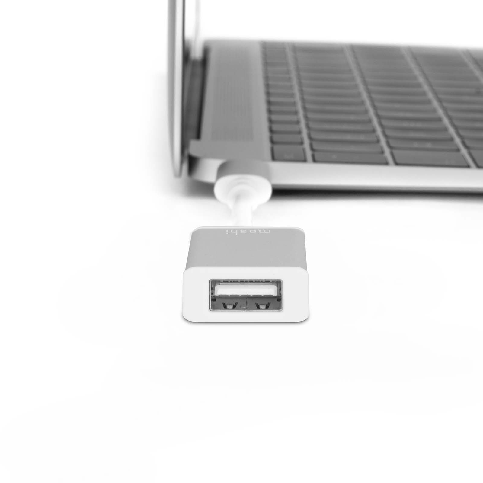 USB-C to USB Adapter - Silver